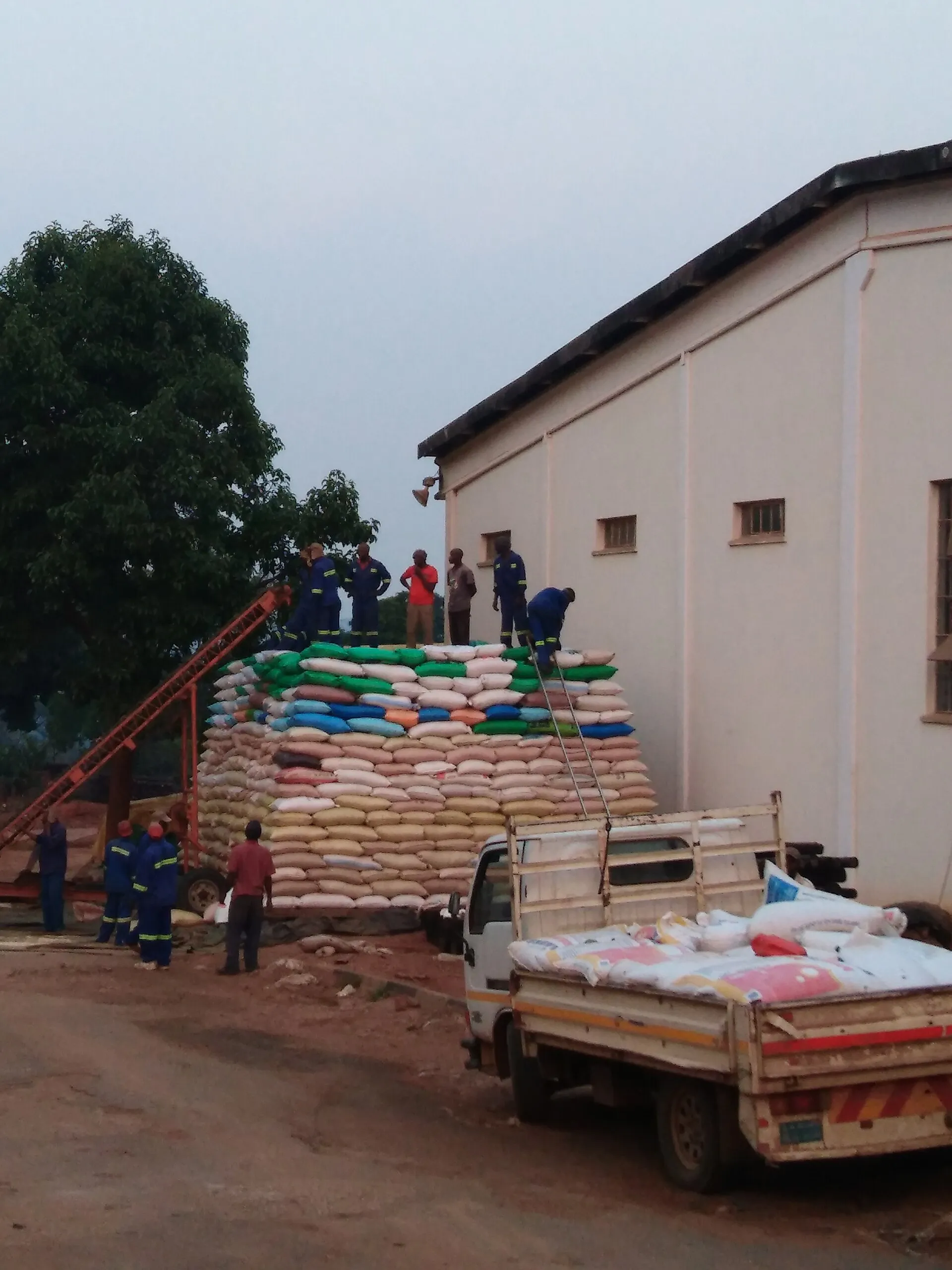 Workers stacking bags of maize at a grain depot